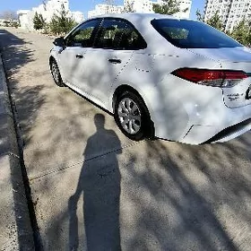 Toyota Corolla 2020