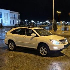 Lexus RX 330 2004