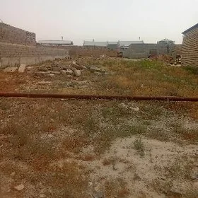 50 Metr 8 sotuk