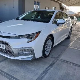 Toyota Corolla 2022