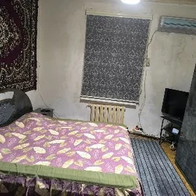 квартира