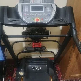 sport enjamlar