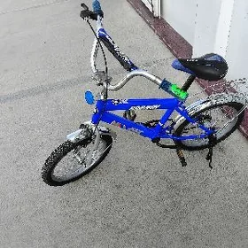 Tigir  16
