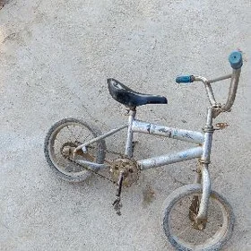 çaga welisapet
