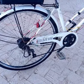velsepet. 27.   6.  skor