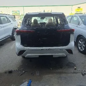 21 Haylander bagac