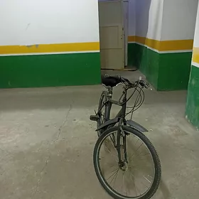 Turkmenistan tigir