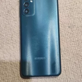 Samsung f 13