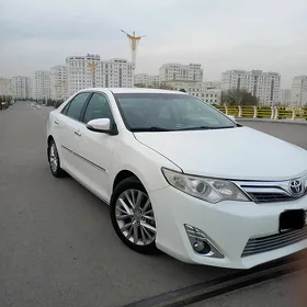 Toyota Camry 2013