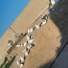 kepderi