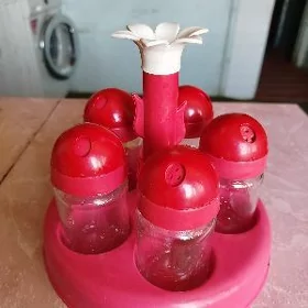 сольница