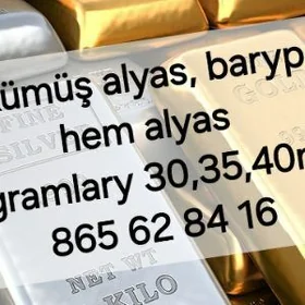 kümüş alyan