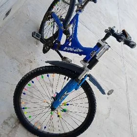 WELSEPED ROMBO