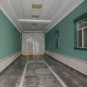 lelin kalhoz 12 sotuk plan