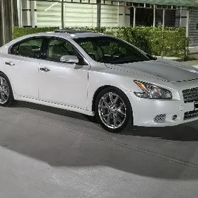 Nissan Maxima 2010