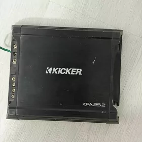 usintel  kicker