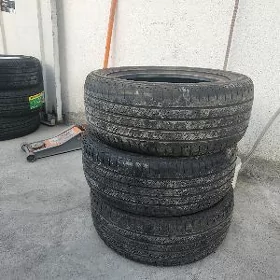 225 55 17
