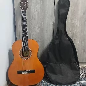 Valencia gitara elektronny
