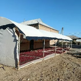 Palata