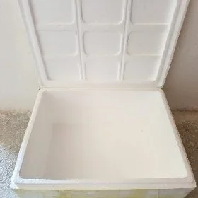 pneplast