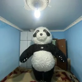Panda miska