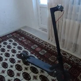 electrony samakat