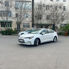 Toyota Corolla 2024