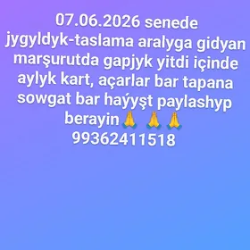 gapjyk yitdi