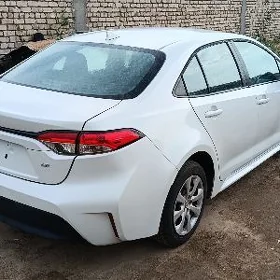 Toyota Corolla 2023