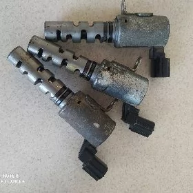 1Mz wanus datcik