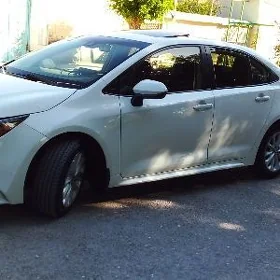 Toyota Corolla 2019