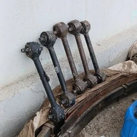 rektiwni maz