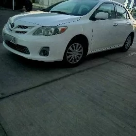 Toyota Corolla 2010