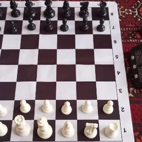 Шахматы küşt