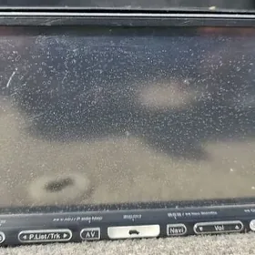 pioneer