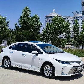 Toyota Corolla 2025