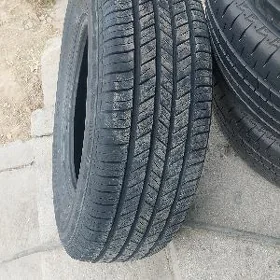 225 70 16
