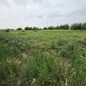 Satlyk Melek ýer