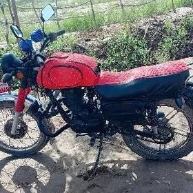 Fekon FK150-8G 2016