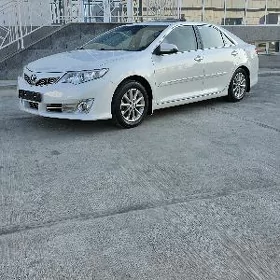 Toyota Camry 2013