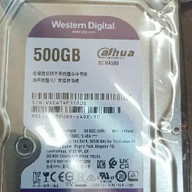 HDD Wd surveillance