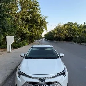 Toyota Corolla 2023