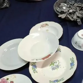 Palatka degişli posuda haly