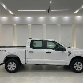 F-150  EXPEDITION