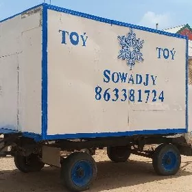 toy sowadyjy haldinik