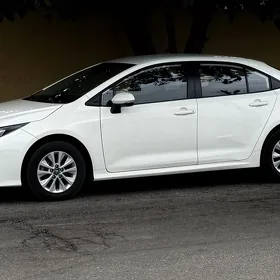 Toyota Corolla 2023
