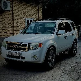 Ford Escape 2010