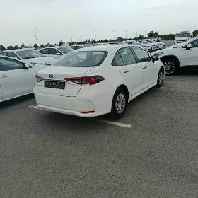 Toyota Corolla 2019