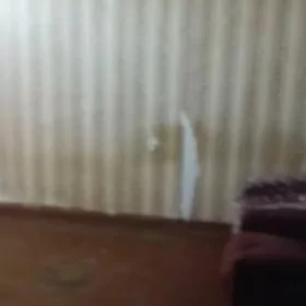 Бизмейин дуплекс