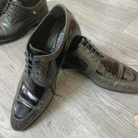 köwiş SAFARI